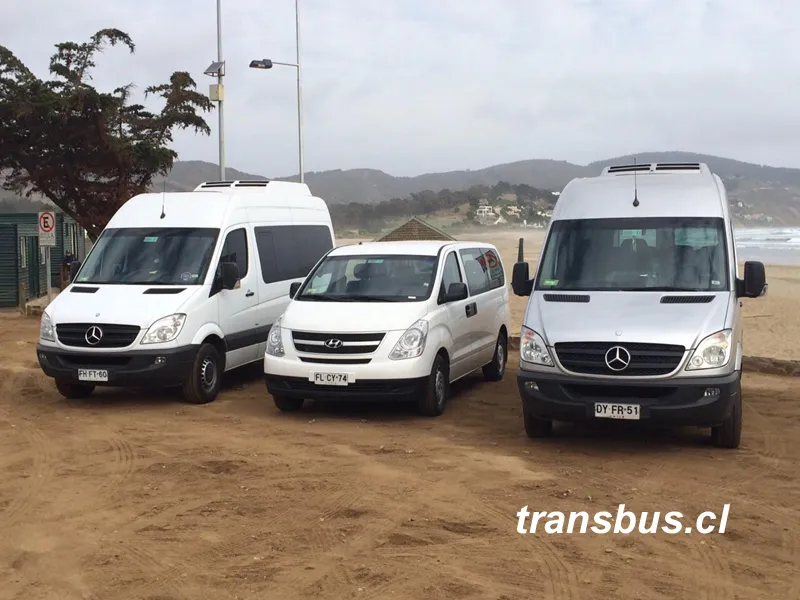 Transporte Matrimonios Fiestas Traslado para Matrimonios